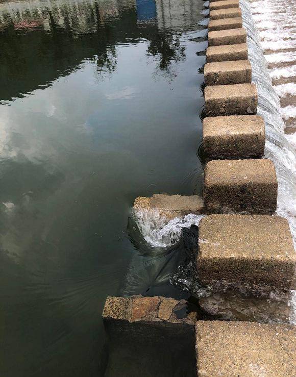 信阳女子在景区被卷入漩涡溺亡 当地安全监管部门回应