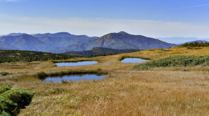 复盘家电直播半年战果:从卖货、品宣走向进户心智-家电圈官网