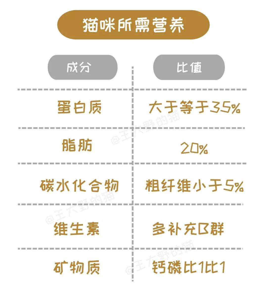 原创新手必看:猫粮成分表怎么看?如何给猫咪挑选好粮?