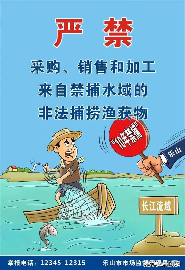 禁止过度捕捞海报图片