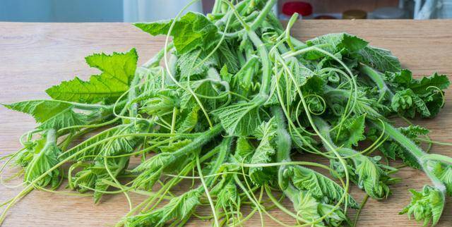 南瓜尖是个宝,教你一个好吃做法,不清炒不凉拌,一上桌就被抢光