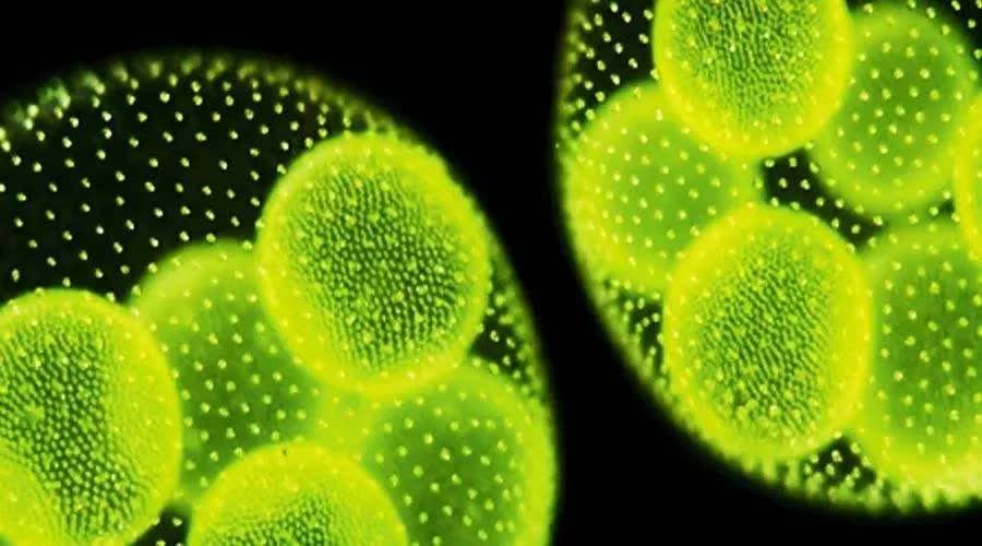 这不是一时素人改造,而是从根本变美,从而获得自信