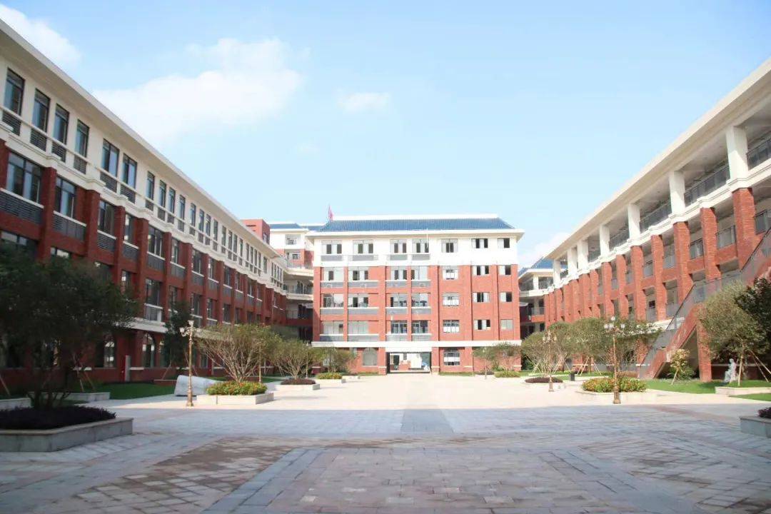 肇庆华附 | 清北名师的教育故事_教学