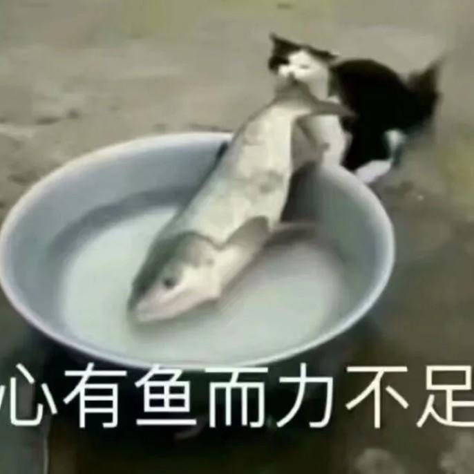 撩人表情包拿图片爱你心有余而力不足