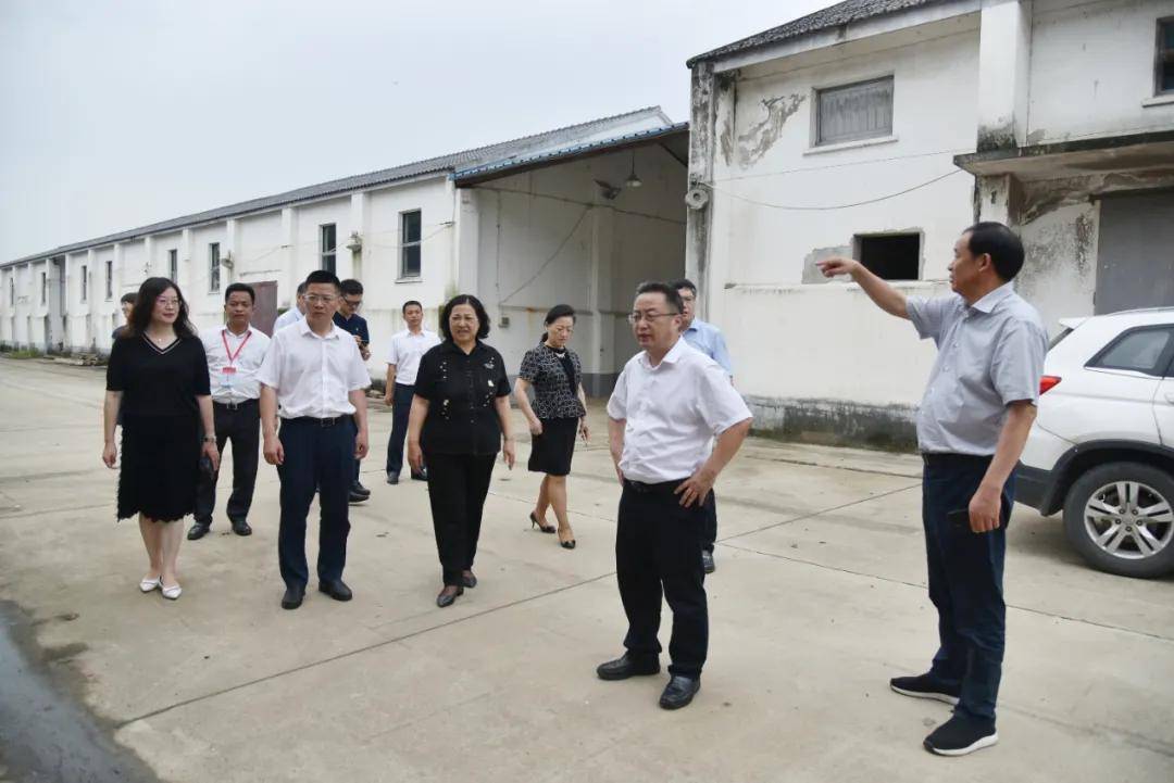 相城区领导调研太平街道,阳澄湖镇文化场馆建设_顾海东