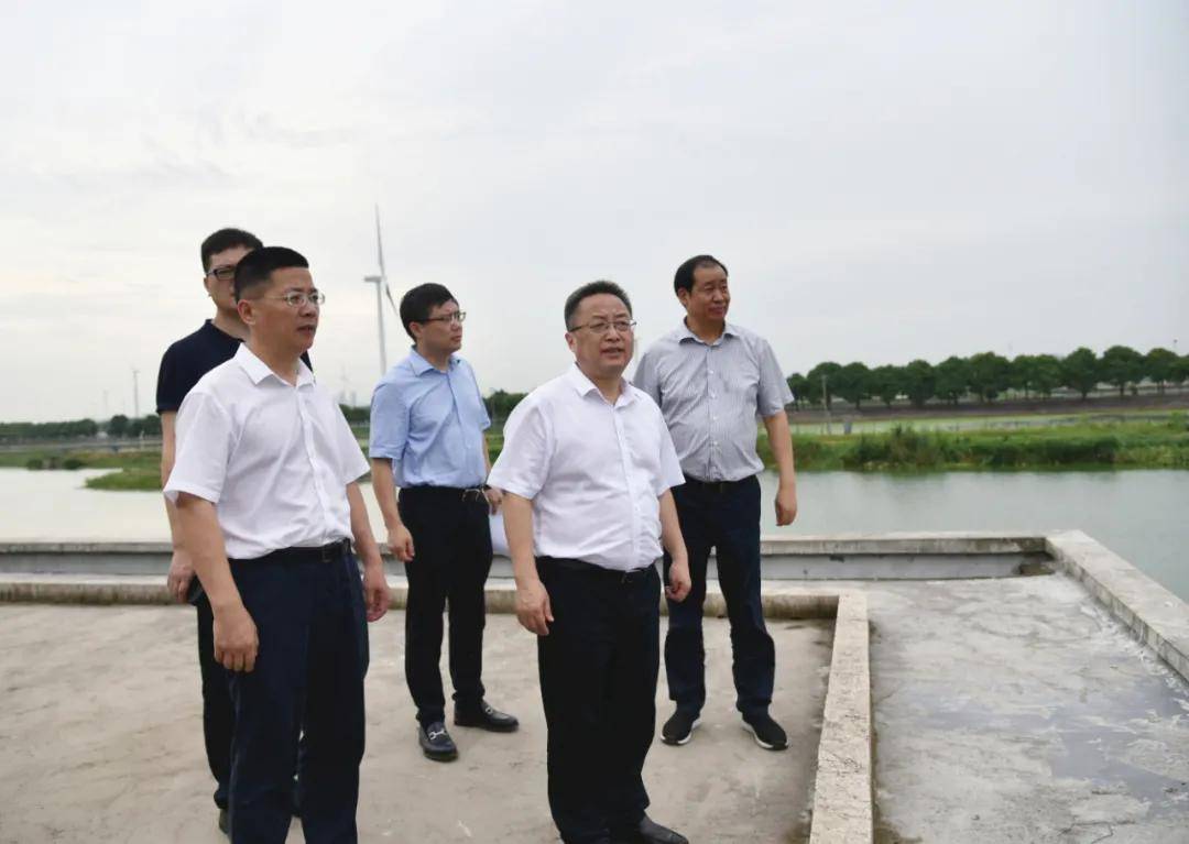 相城区领导调研太平街道,阳澄湖镇文化场馆建设