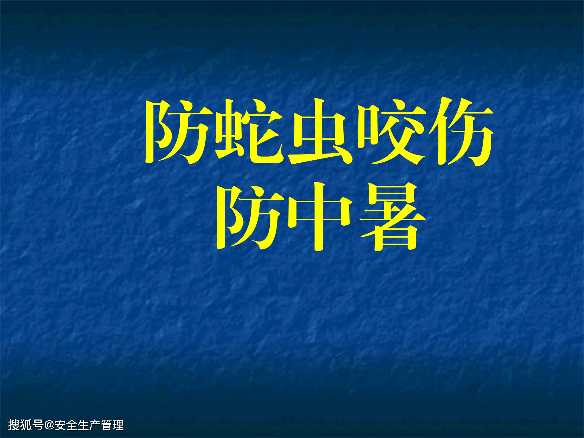 防蛇虫咬伤防中暑(65页)