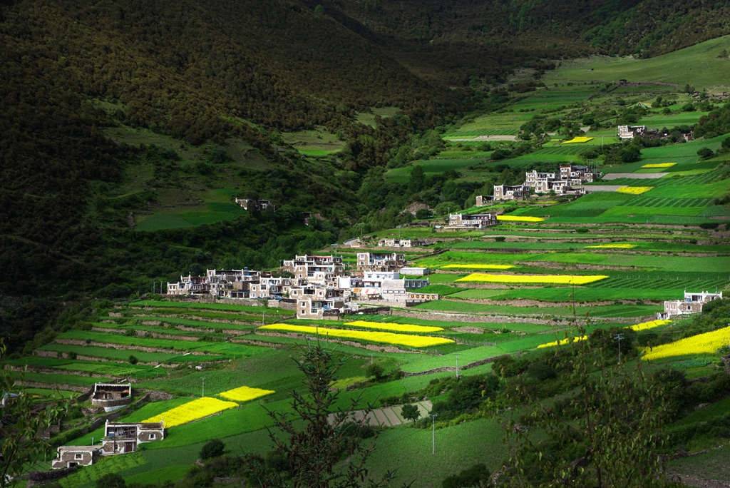 去小金吧,静享17度清凉夏天!_小金县