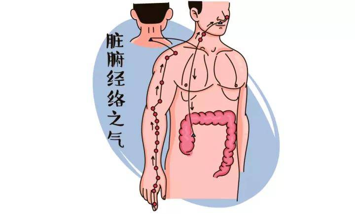 李芳教授:如何让自己正气存内,邪不可干?_人体
