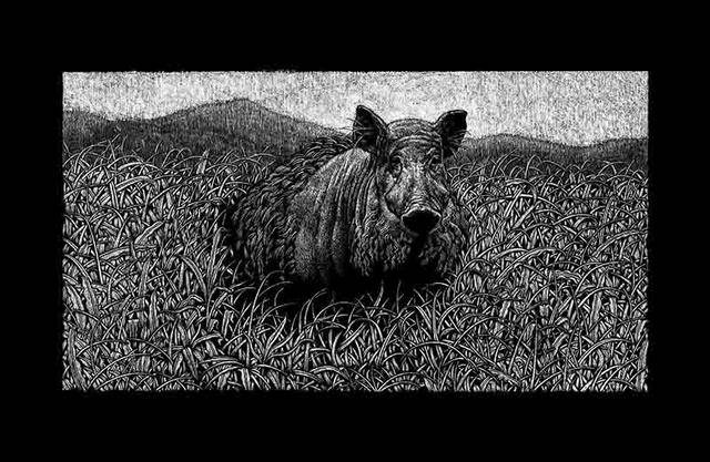 ran    乱   wild boar hides itself in the bushes