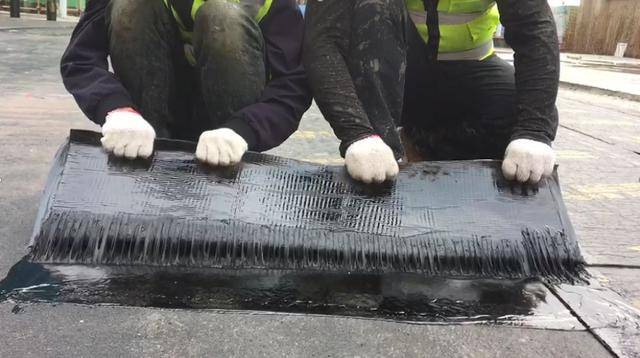 0mmbac耐根穿刺自粘防水卷材 下图为种植屋面基本构造层次