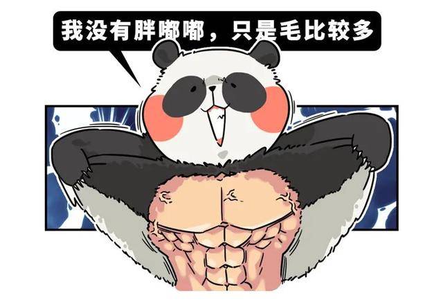 肌肉熊猫手机壁纸图片