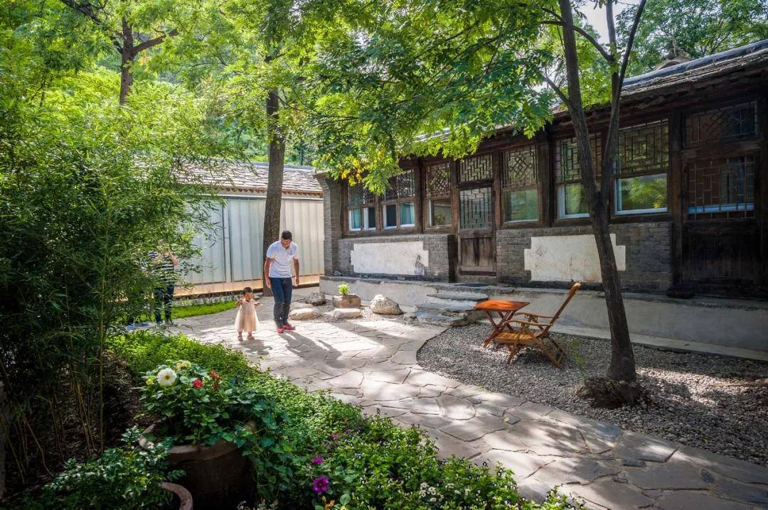 小院以独具一格的蓼菜嫩芽, 吸引着无数素食爱好者前来.