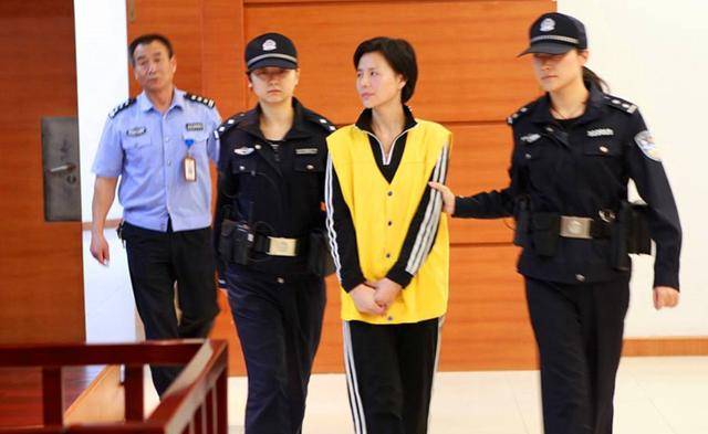 她凭姿色接近上流,靠借钱"赚"17亿,整形逃跑未遂,成为死刑犯_顾春芳