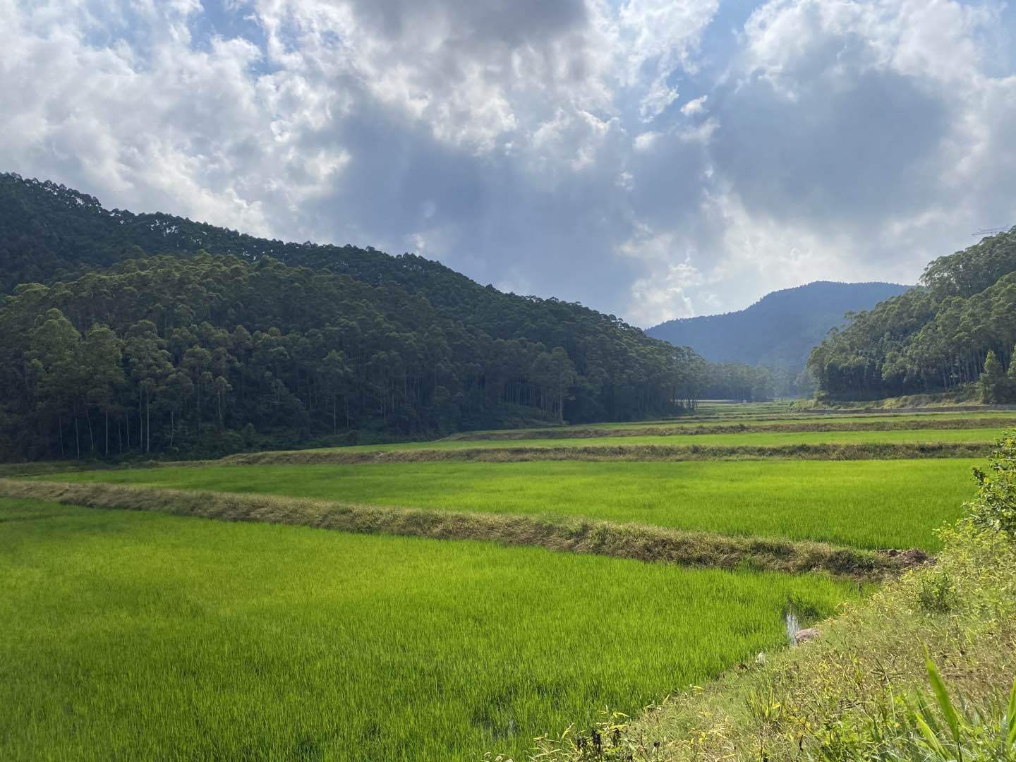 建设美丽乡村——垦造水田篇(三十六)