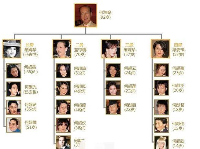 尤其是在近期,掌控着何氏家族的何超琼,向遗产承办处提交了知会备忘