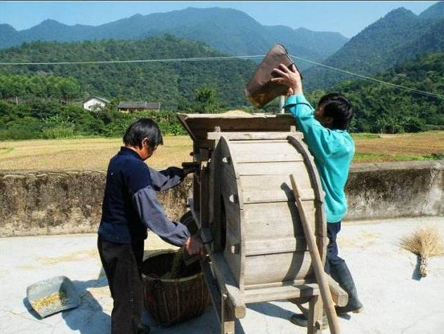 鄉土散文:風車_農村