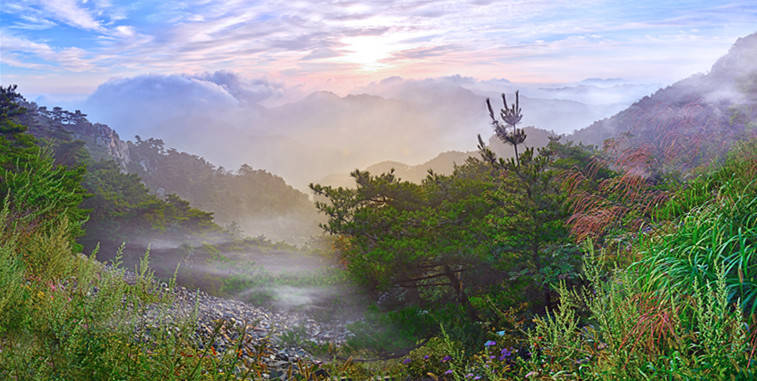 一個遠離城市喧囂的峽谷秘境就藏在沂蒙山的深處