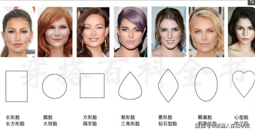 3,有很多种不同的脸型,我们画商业图的时候基本使用鹅蛋脸,除非有特殊