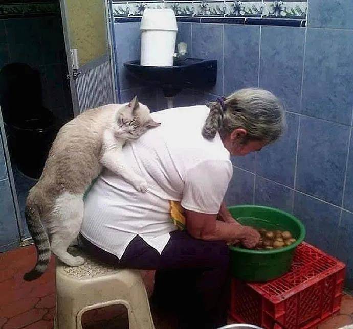 图片[17] - 【xizi被窝段子20200818】人生的旅程就是这样：用大把时间迷茫 在几个瞬间成长 - xizi