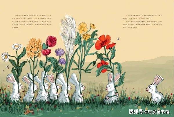 中国兔隐喻图片