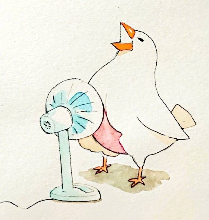 今日治愈系小插画 | 可爱的小白鸽,《北京校尉美术》_手机搜狐网