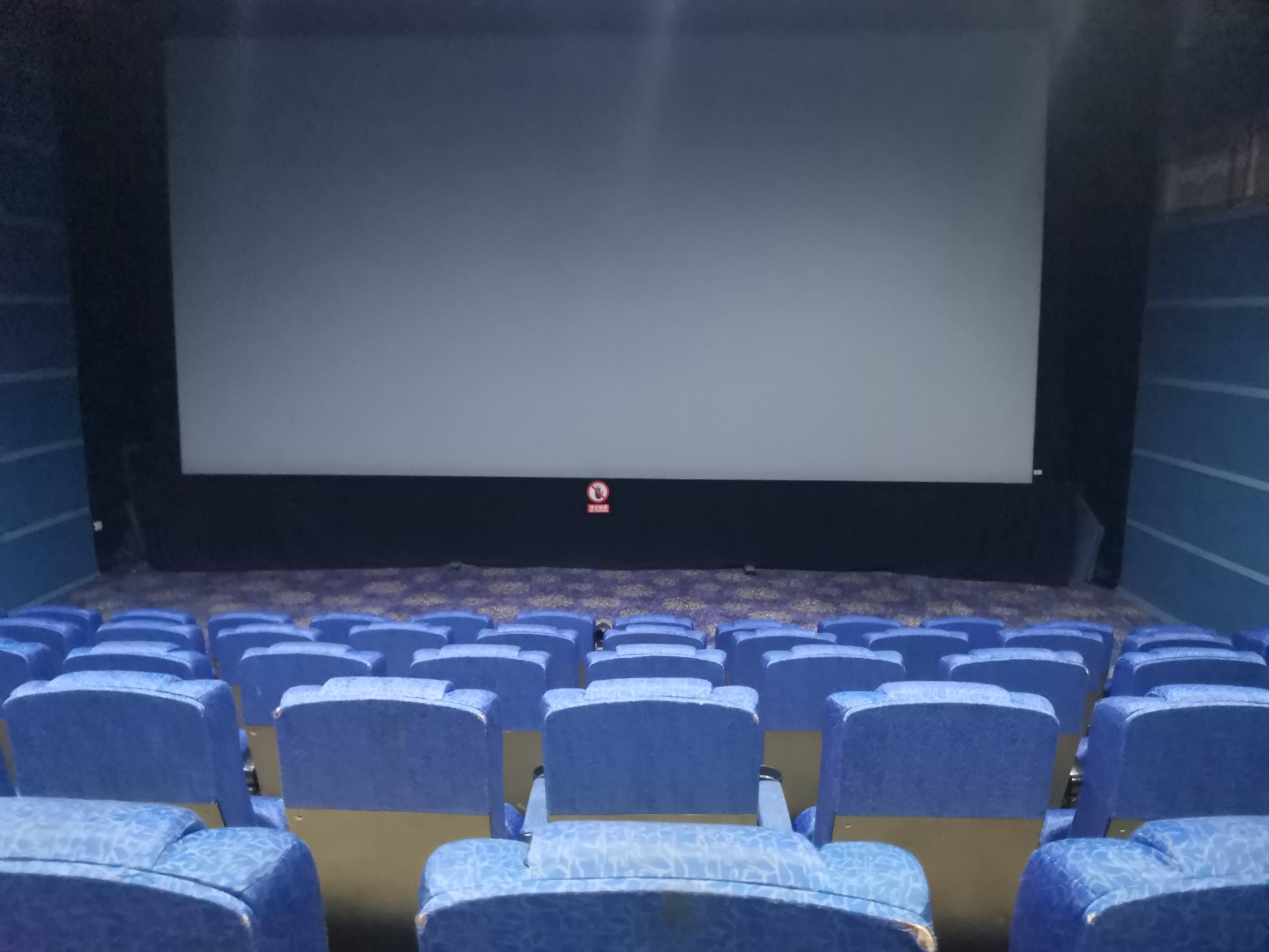 真脑子瓦特啦,为了观影《八佰》写题材,我把电影院包场了_手机搜狐网