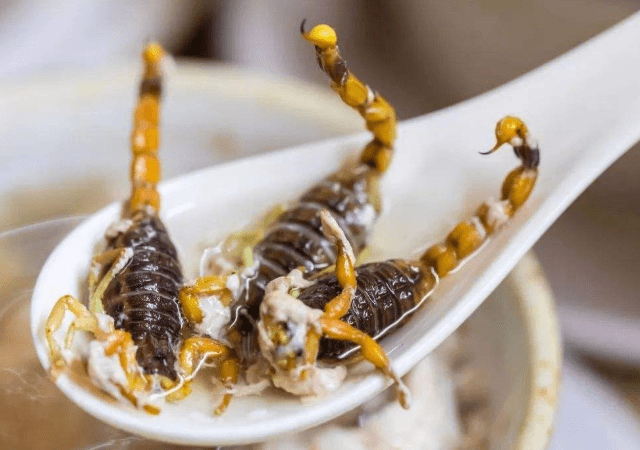 南方人的虫子盛宴,个个都"面目狰狞",赶紧来感受一下吧