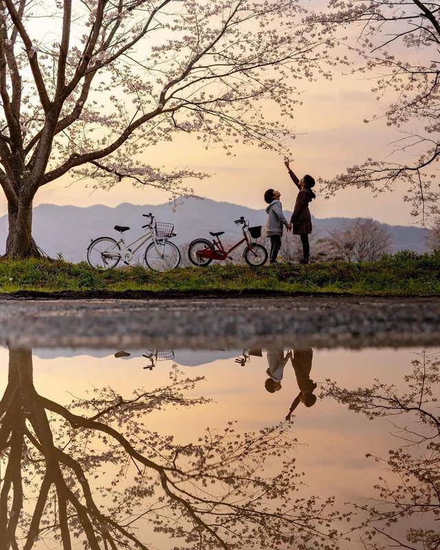 一位爸爸记录下了唯美温暖的姐弟日常太有爱了