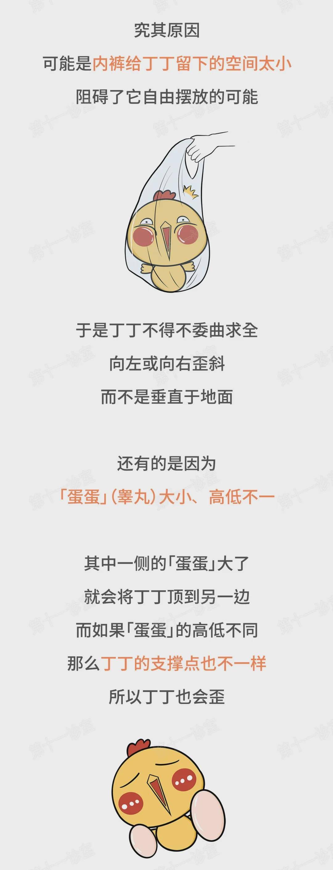 不正经科普关于男友丁丁的一些小秘密姑娘们都该知道