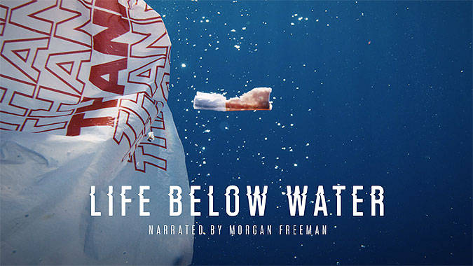 无国界网络globalgoals公益广告水下生物
