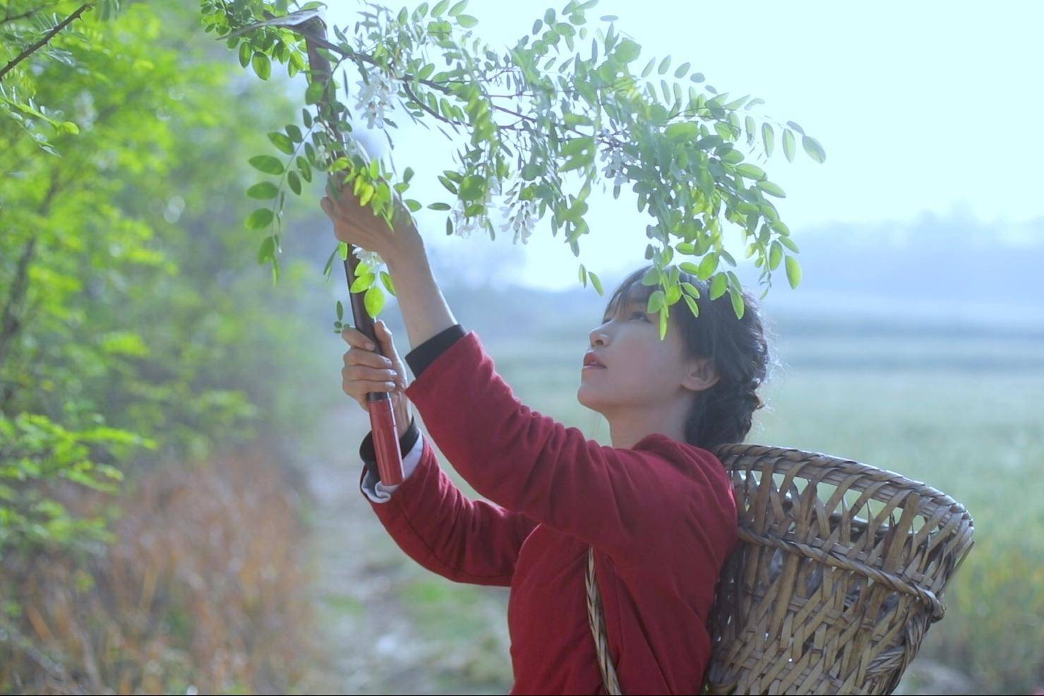 原创二年级开始观察练习家长只要学会3招就能轻松辅导孩子写作文