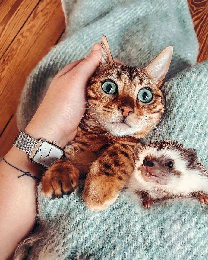 图片[13] - 【xizi被窝段子20200828】别跟往事干杯 往事都快吐了 - xizi