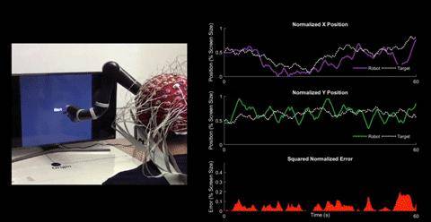 脑机接口公司Neuralink研发到何种程度了？_神经