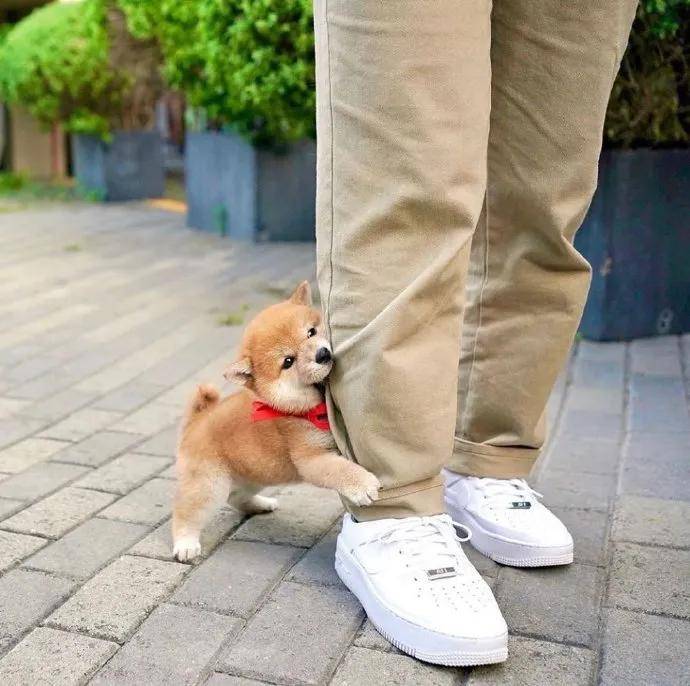 图片[17] - 【xizi被窝段子20200828】别跟往事干杯 往事都快吐了 - xizi