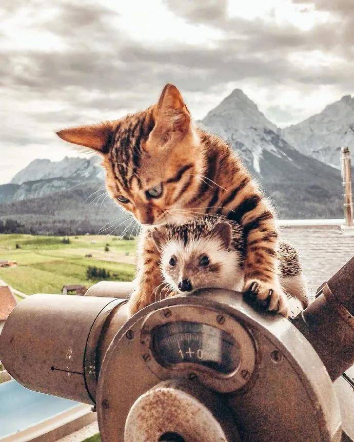 图片[9] - 【xizi被窝段子20200828】别跟往事干杯 往事都快吐了 - xizi