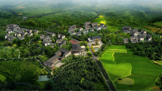 三四线城市的农旅项目,聚焦下沉市场也能打个"漂亮仗"!_手机搜狐网