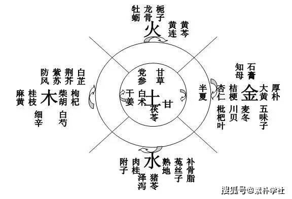 人体脏腑气血运行图 (很强大)_运动