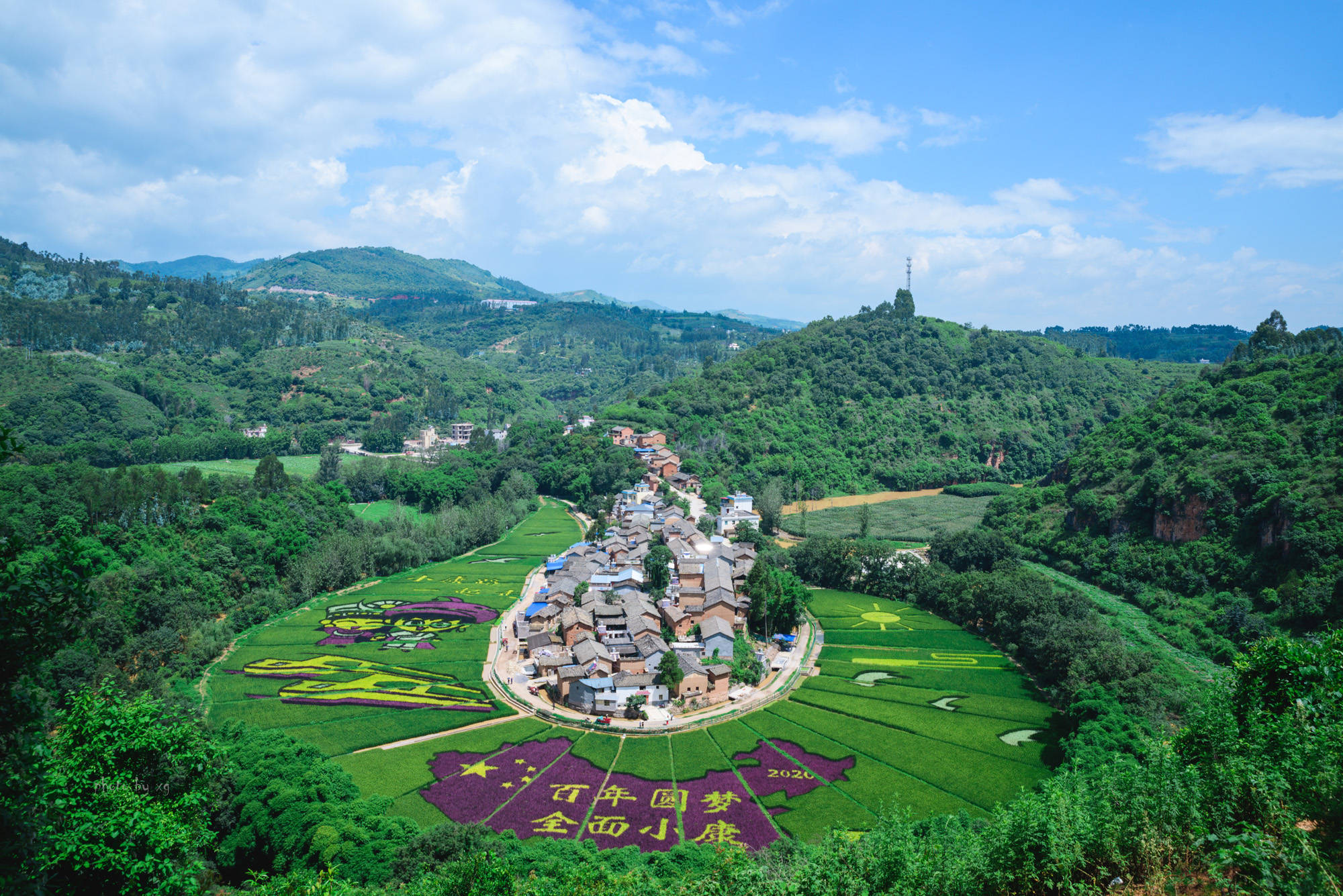 云南昆明网红彩色稻田,正是观赏的好时节,不需要门票,免费观赏_手机