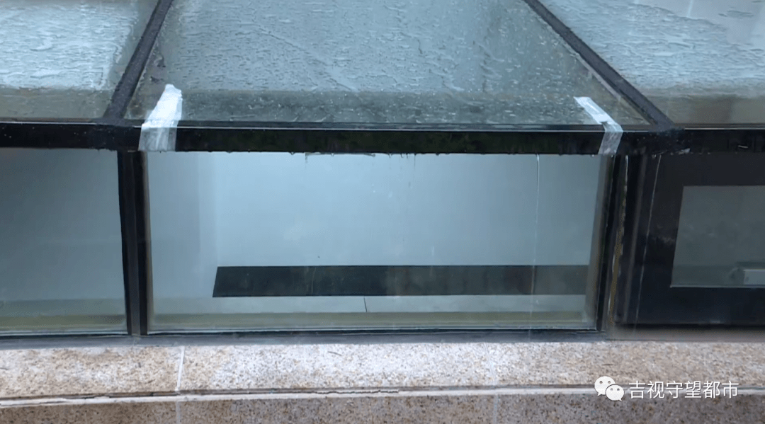 钉子从天而降, 长春高新慧园小区一楼采光井钢化玻璃瞬间被击碎!
