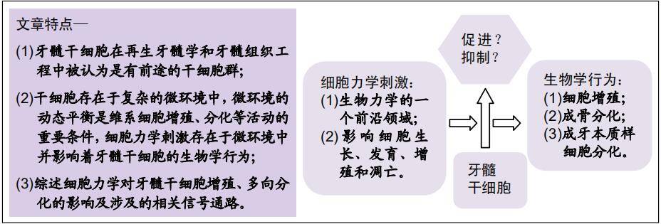 細胞力學機械刺激對牙髓幹細胞的影響_組織