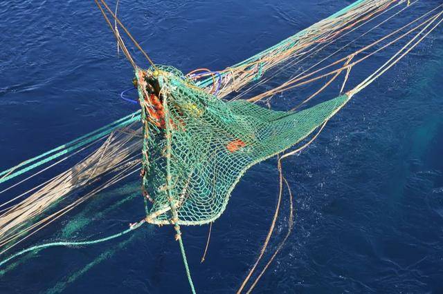 一网280吨鲱鱼,图解渔船捕捞作业