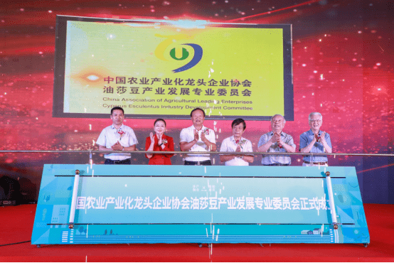 中国农业产业化龙头企业协会油莎豆产业发展专业委员会成立