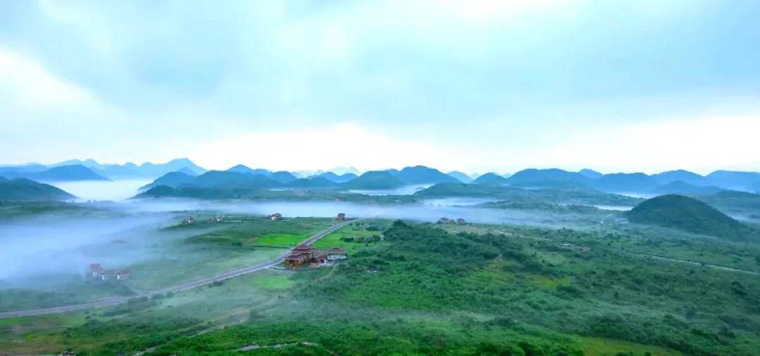 暮夏浅秋,别样的"跳"花坡景区_草原