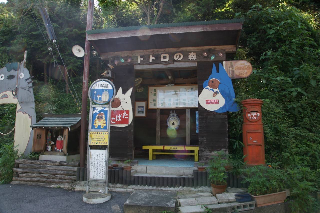 龙猫的老家原来是真实存在的!一起潜入日本的"豆豆龙之森"吧!