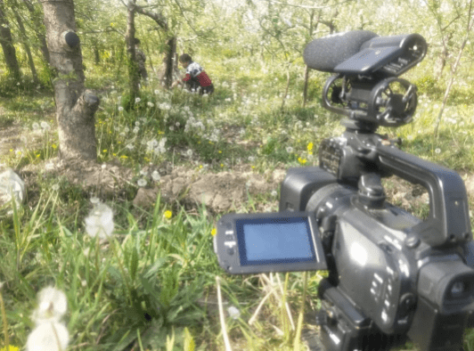 麦田守望者——看XA55记录《成长》的故事