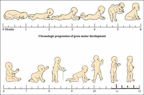 寶寶大運動發展規律表看看你家寶寶都達標了嗎