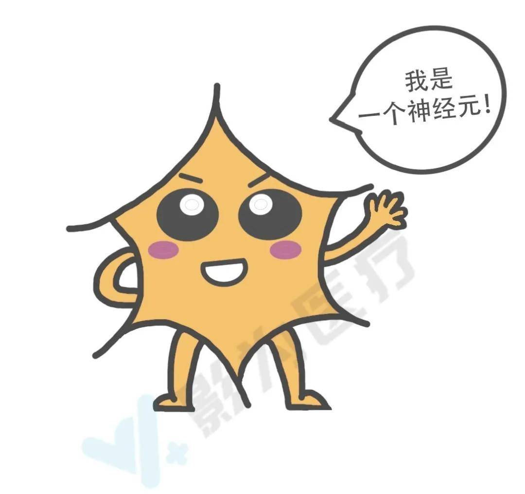 是谁挡住了神经元的去路