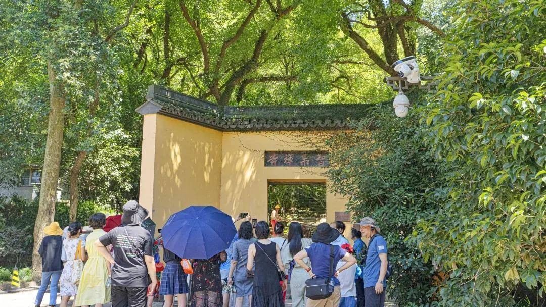 西湖大佛寺活起來了|杭遊通x尋城記—8月1日北山探秘圓滿完成回顧