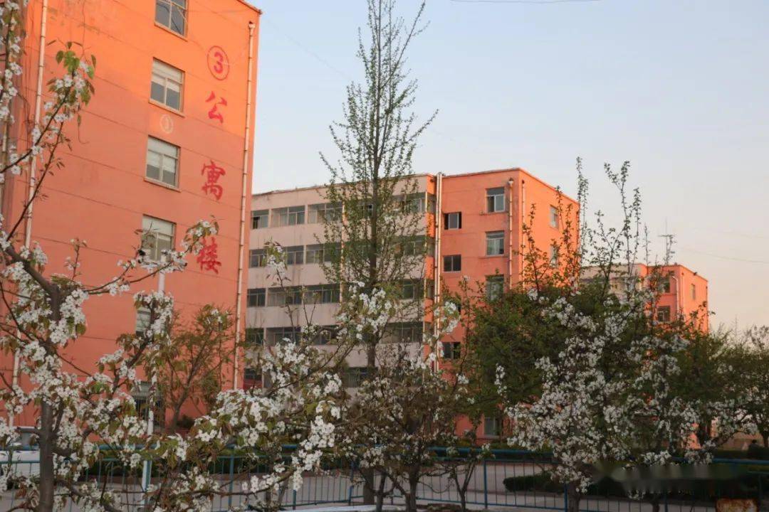 山东煤炭技师学院淄博图片